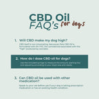 CBD Oil for Dogs
