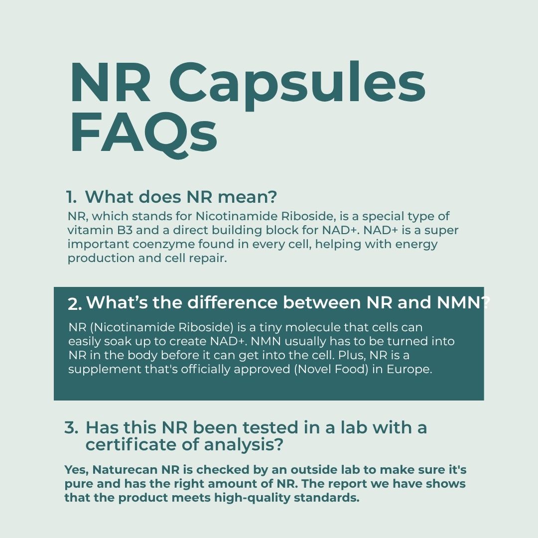 An informational graphic titled 'NR Capsules FAQs' on a pale green background, with three text sections explaining what NR means, the difference between NR and NMN, and lab testing standards for Naturecan NR.