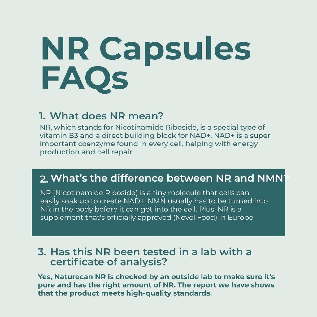 An informational graphic titled 'NR Capsules FAQs' on a pale green background, with three text sections explaining what NR means, the difference between NR and NMN, and lab testing standards for Naturecan NR.