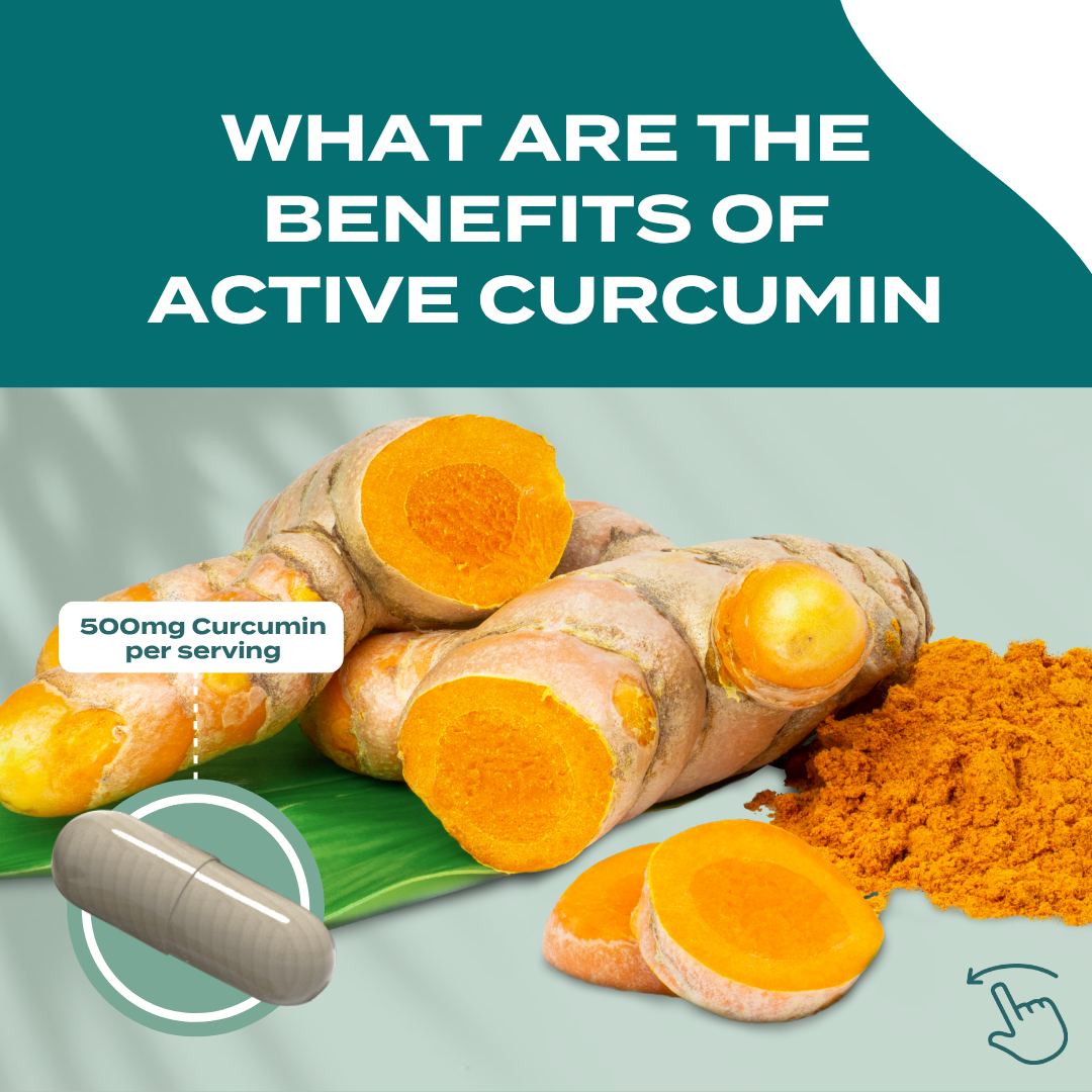 Active Curcumin Supplement