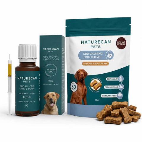 CBD Oil Calming Bundle for Dogs