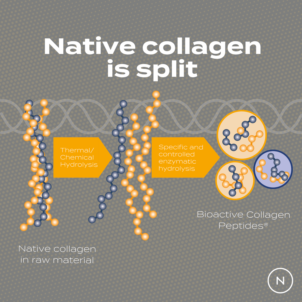 Collagen Peptides Powder
