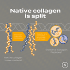 Collagen Peptides Powder