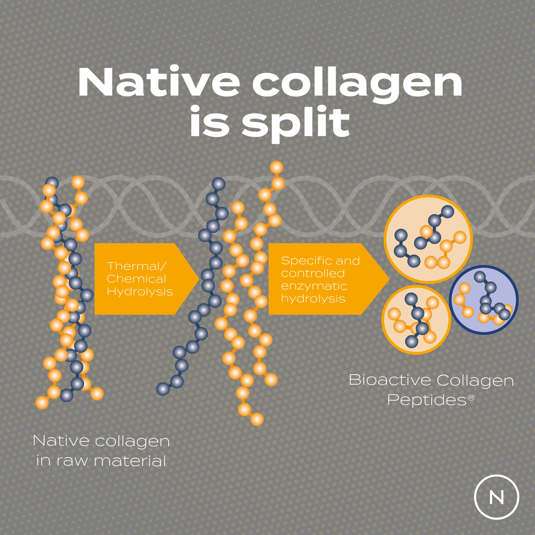 Collagen Peptides Powder