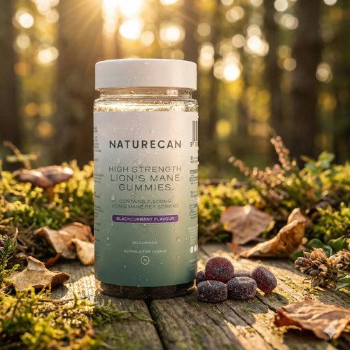 Lion’s Mane Gummies
