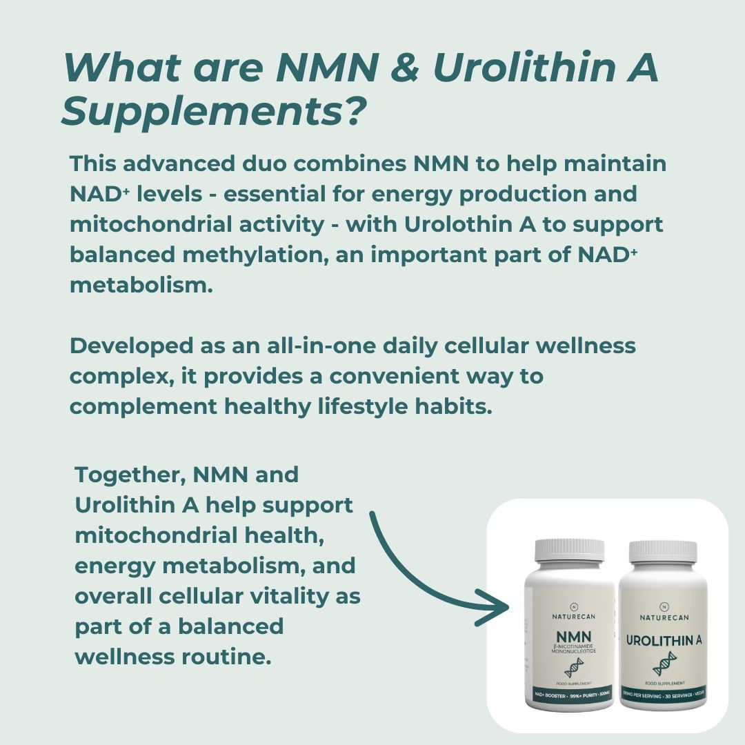 NMN and Urolithin A supplements with descriptive text about their benefits on a light blue background.