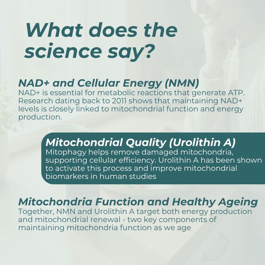 Text-based infographic about NAD+, cellular energy, mitochondrial quality, and function on a light background.