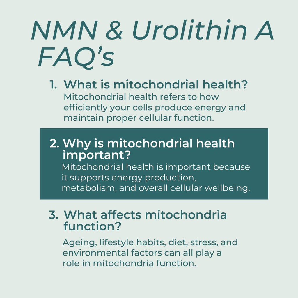 FAQs about mitochondrial health on a light blue background