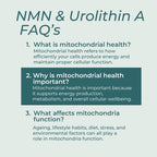 FAQs about mitochondrial health on a light blue background