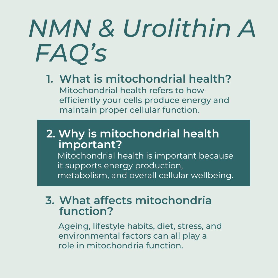 FAQs about mitochondrial health on a light blue background