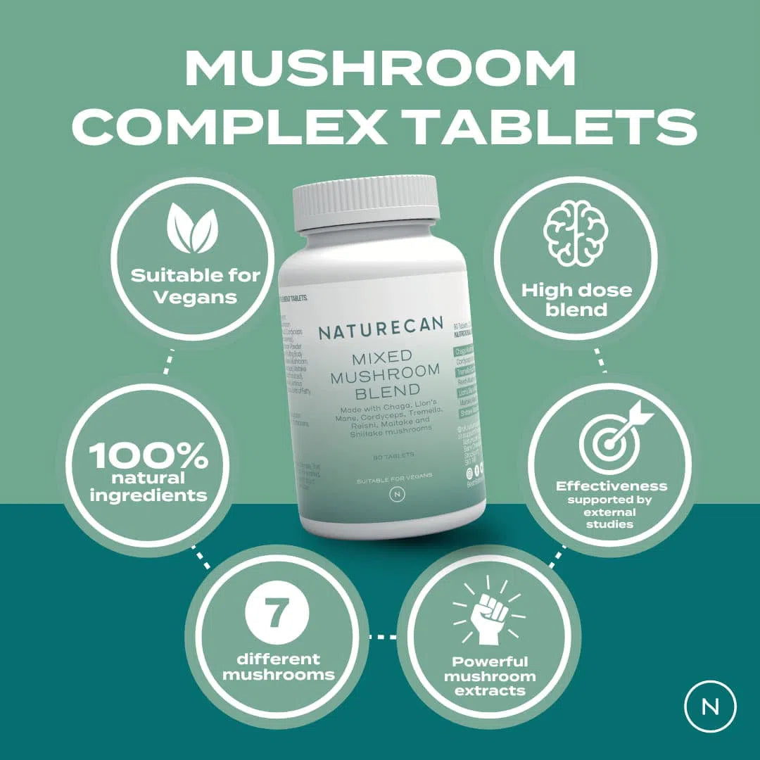 Lion's Mane & Chaga Mushroom Supplement