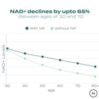 NAD Supplement (NR)