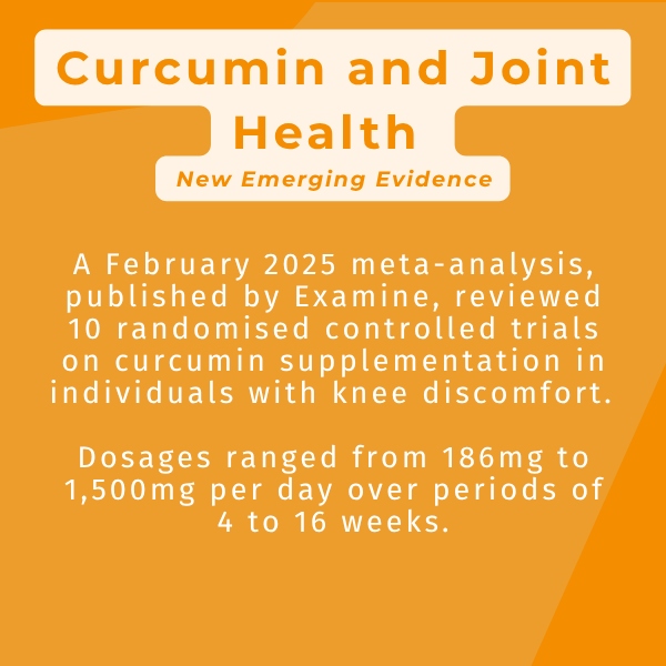 Active Curcumin Supplement