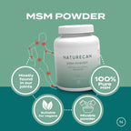 MSM Powder