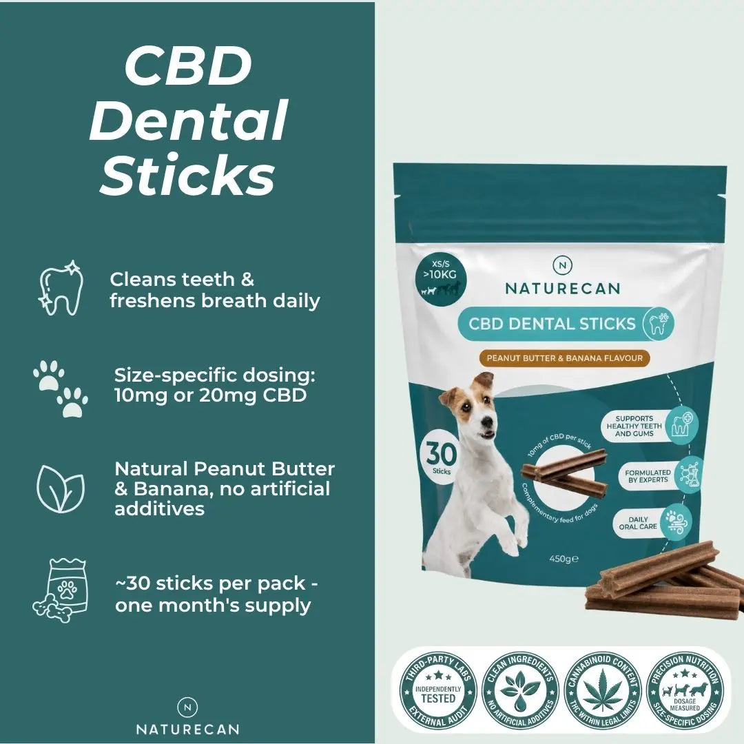CBD Dental Sticks for Dogs