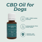 CBD Oil for Dogs