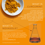 Active Curcumin Supplement